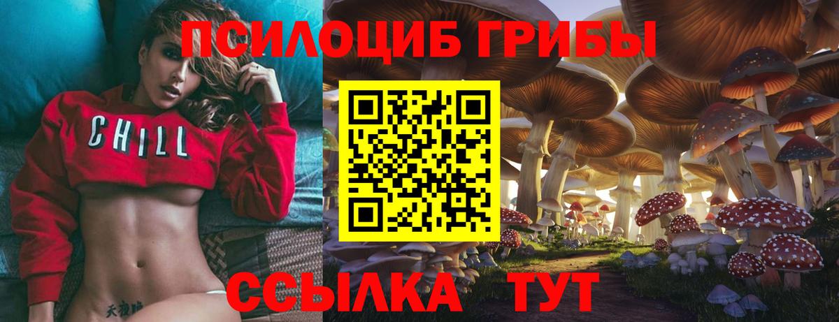 Галлюциногенные грибы MAGIC MUSHROOMS  Вход с VPN  Артём  магазин продажи наркотиков  Псилоцибиновые грибы Psilocybine cubensis 